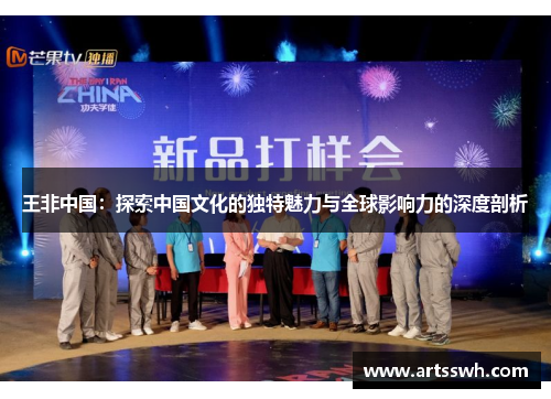 王非中国：探索中国文化的独特魅力与全球影响力的深度剖析