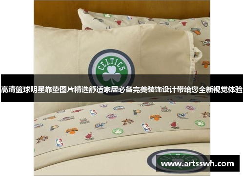 高清篮球明星靠垫图片精选舒适家居必备完美装饰设计带给您全新视觉体验